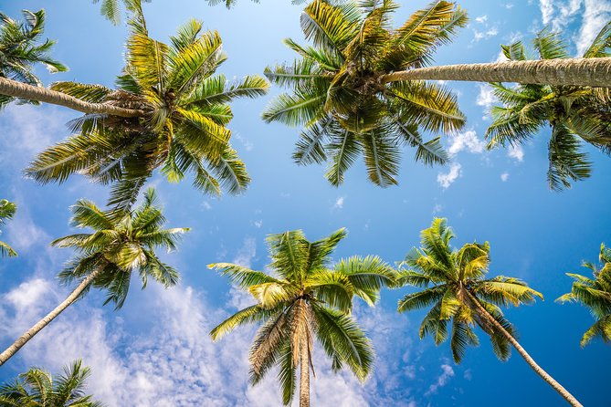 full-day-private-boat-charter-exploring-the-best-of-the-usvi