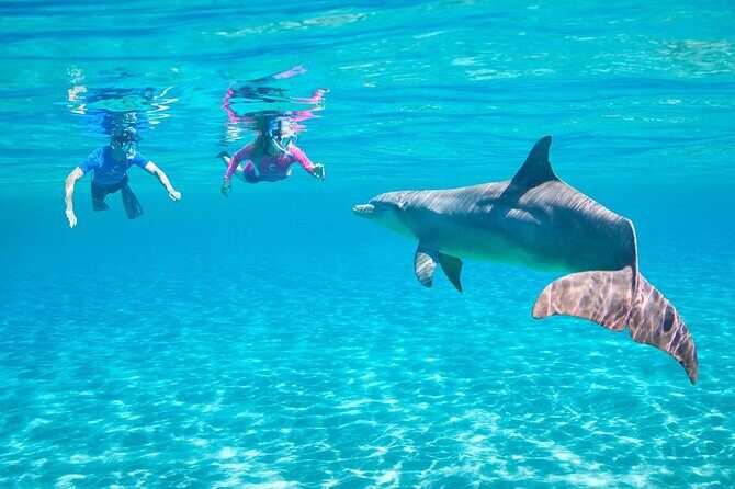 Full Day Private Boat Trip Dolphin House, Snorkeling - Hurghada - Final Thoughts: Who Should Book This Tour?