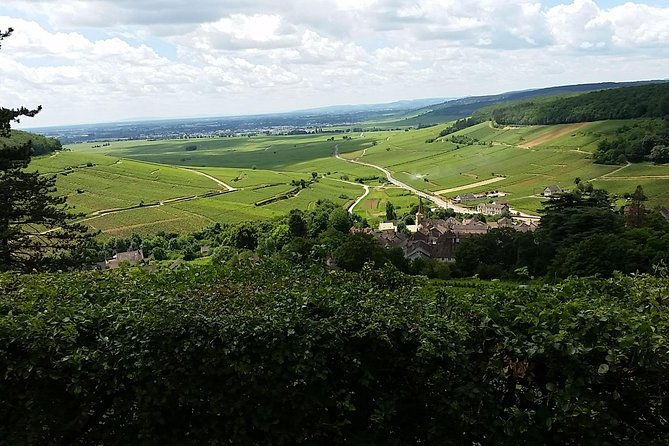 full-day-private-burgundy-wine-route-tour-from-beaune-3