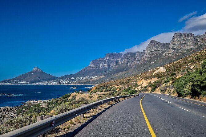 Full Day Private Cape Peninsula and Boulders Beach Tour - Final Thoughts