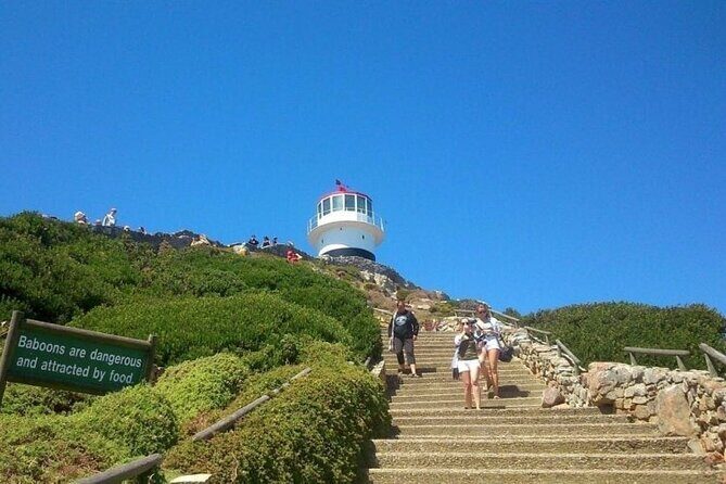 Full Day Private Cape Peninsula and Boulders Beach Tour - An In-Depth Look at the Itinerary