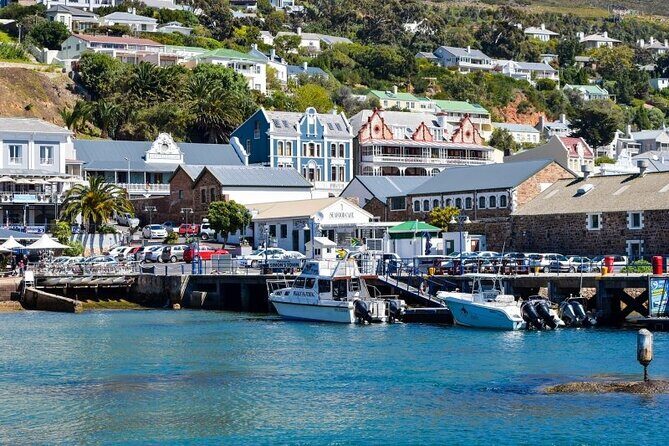 Full Day Private Cape Peninsula and Boulders Beach Tour - Who Is This Tour Best For?