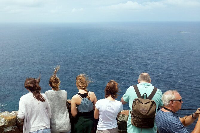 Full-Day Private Cape Peninsula Tour - Who Would Love This Tour?