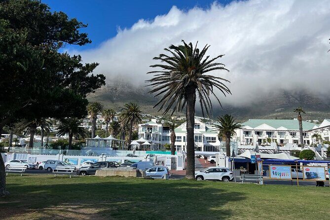 Full-Day Private Cape Towns Beaches Tour - Why Choose the Full-Day Private Beaches Tour?
