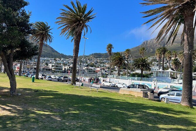 Full-Day Private Cape Towns Beaches Tour - Authentic Insights and Guest Experiences