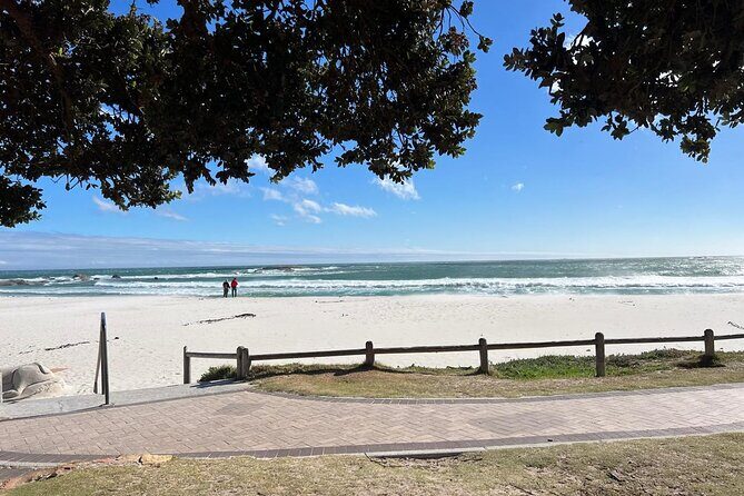 Full-Day Private Cape Towns Beaches Tour - Practical Tips for Your Beach Day