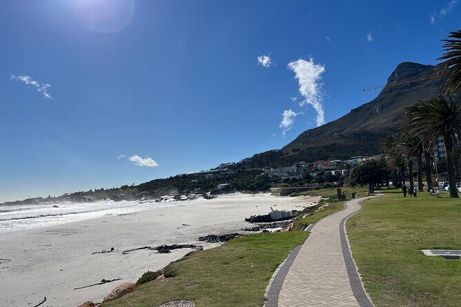 Full-Day Private Cape Towns Beaches Tour - The Sum Up