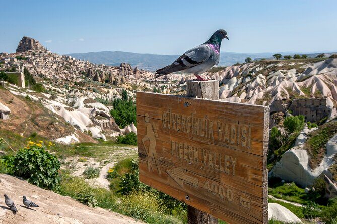 Full Day Private Cappadocia Tour (Guide & Driver) - Final Thoughts