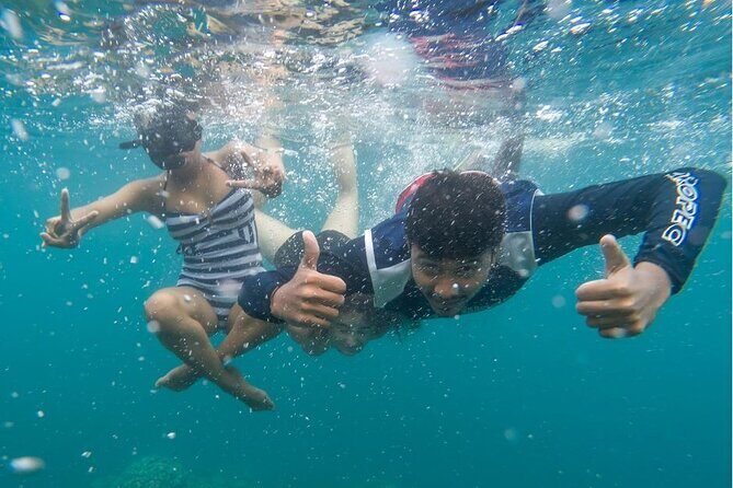 Full Day Private Catamaran Cruise to Bénitiers Island - Key Points