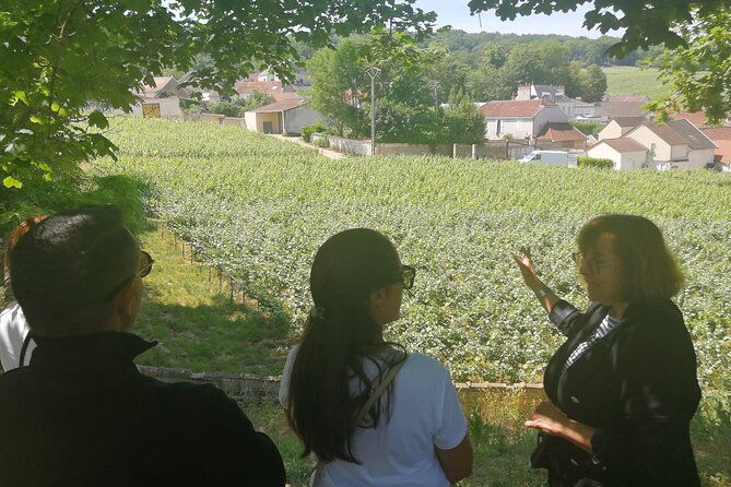 full-day-private-champagne-tasting-in-reims-and-its-vineyards-2