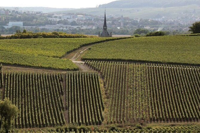 full-day-private-champagne-tasting-in-reims-and-its-vineyards-2