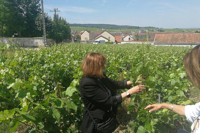 full-day-private-champagne-tasting-in-reims-and-its-vineyards-2