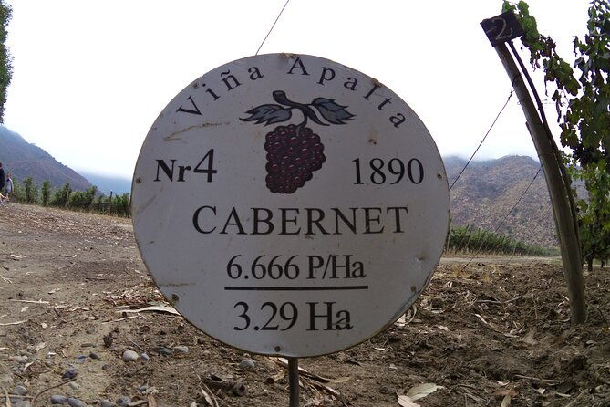 full-day-private-colchagua-wine-tour-from-santiago