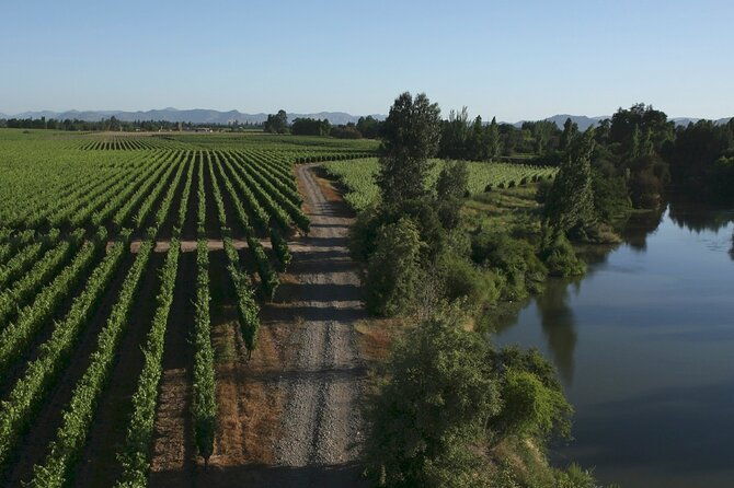 full-day-private-colchagua-wine-tour-from-santiago