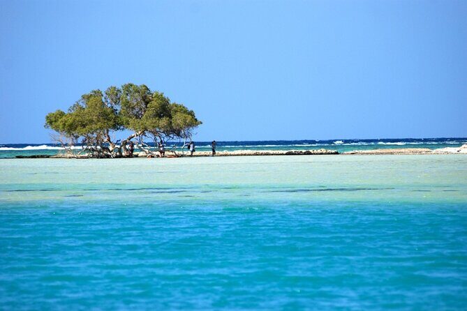 Full-Day Private Cruise in Ain Sokhna with Lunch - Key Points