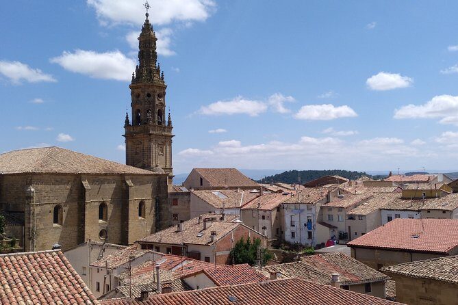 Full-Day Private Cultural and Gastronomic Adventure in Rioja - Practical Details and Tips