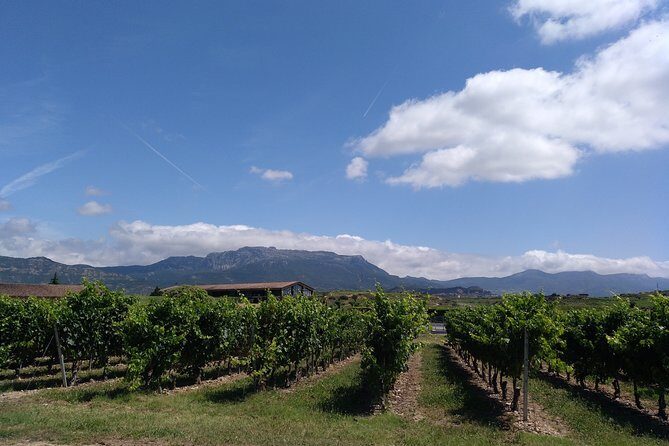 Full-Day Private Cultural and Gastronomic Adventure in Rioja - FAQ