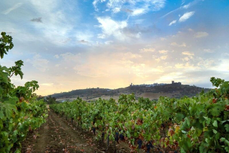full-day-private-cultural-tour-in-evora-and-monsaraz