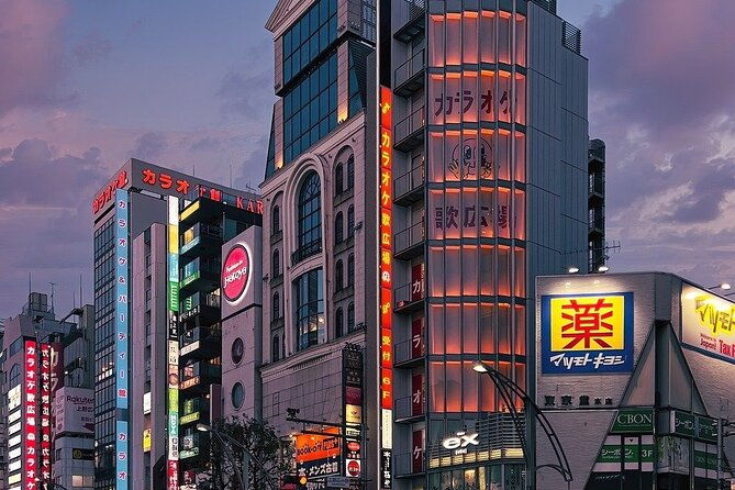 full-day-private-day-trip-in-tokyo-city