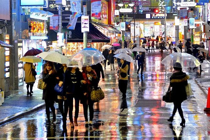 full-day-private-day-trip-in-tokyo-city