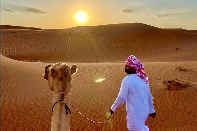 Full Day Private Desert Adventure - Why We Think This Tour Works