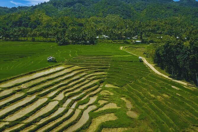 Full Day Private Exclusive Tour of Anda in Bohol - Authentic Insights from Reviews