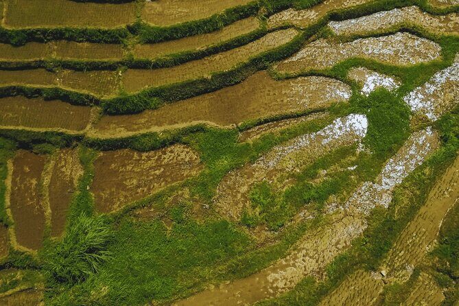 Full Day Private Exclusive Tour of Anda in Bohol - Who Will Benefit Most?