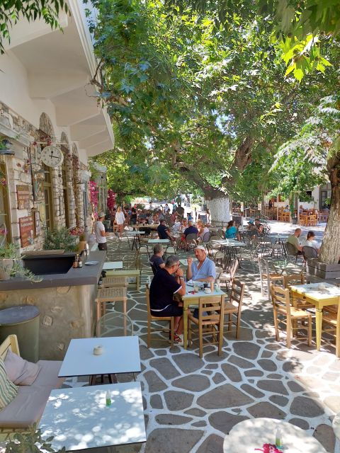 full-day-private-food-tour-in-naxos-local-villages