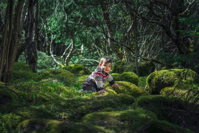 full-day-private-golden-circle-photography-tour-in-iceland