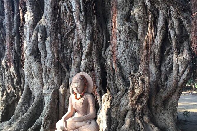 Full-Day Private Guided Bodhgaya Tour with Pick Up - The Experience: What You Can Expect