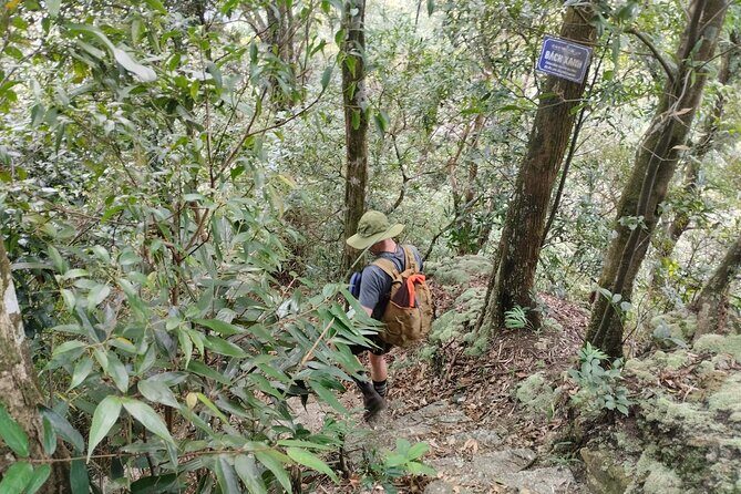 Full-Day Private Guided Hiking Tour of Ba Vi National Park - Practical Details and Value