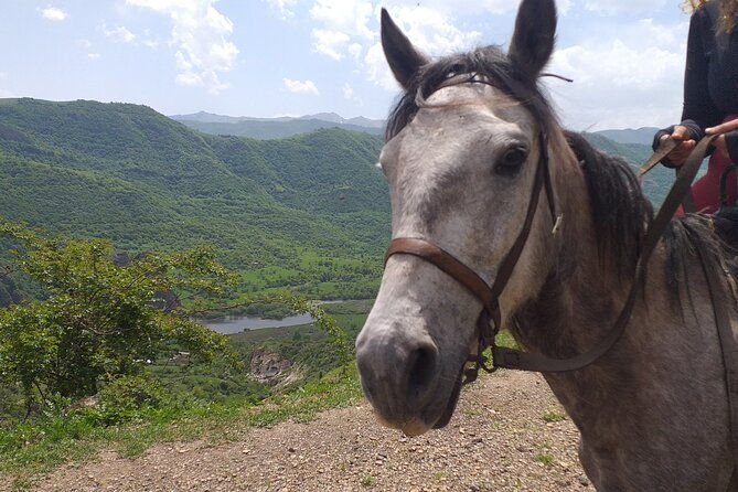 full-day-private-guided-horseback-ride-through-dzoraget-canyon