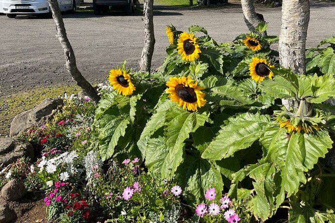 full-day-private-guided-tour-in-golden-circle-of-iceland