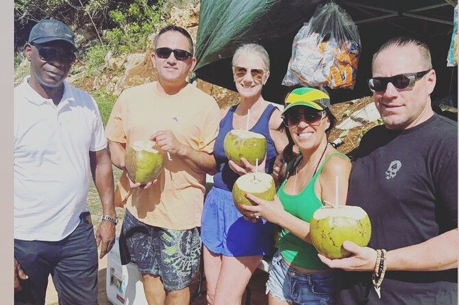 full-day-private-guided-tour-in-ocho-rios-jamaica