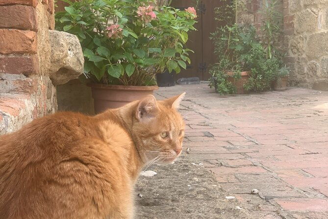 full-day-private-guided-tour-in-val-dorcia-region