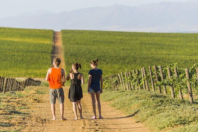 full-day-private-guided-tour-of-champagne-wih-hotel-pickup