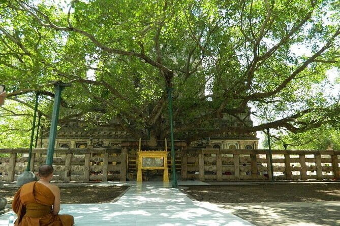 Full day Private Guided Tour of Sarnath from Varanasi - Key Points