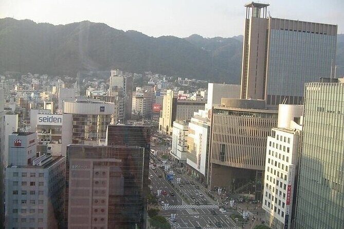 Full-Day Private Guided Tour to Himeji and Kobe - Wrapping Up the Day