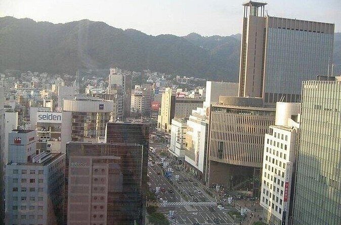 Full-Day Private Guided Tour to Himeji and Kobe - Why This Tour Delivers Value