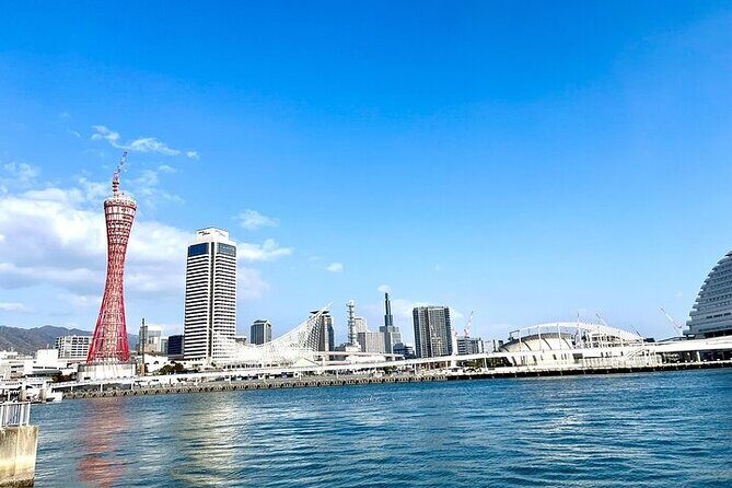 Full-Day Private Guided Tour to Himeji and Kobe - The Experience in Detail