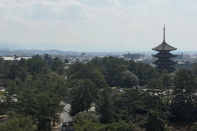 full-day-private-guided-tour-to-nara-temples