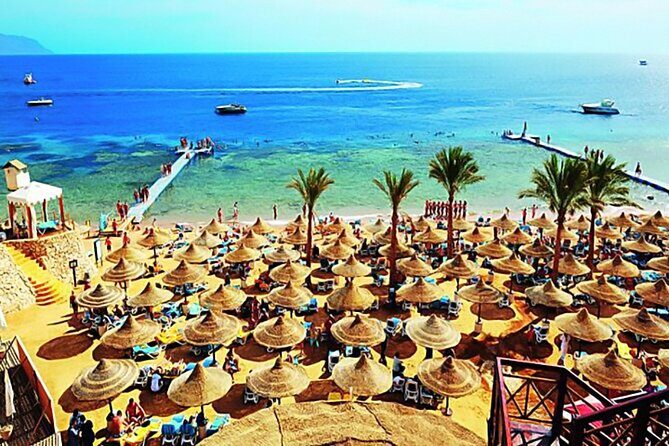 Full-Day Private Guided Tour To Red Sea EL Ain Sokhna From Cairo - The Sum Up