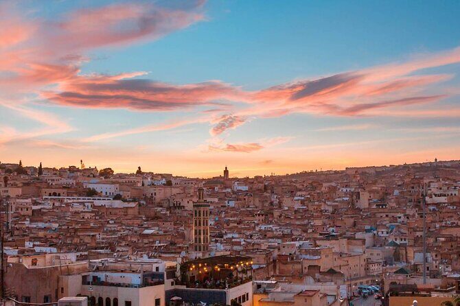 Full -Day Private Guided Walking Tour Of Fez Medina - Why This Tour Offers Great Value