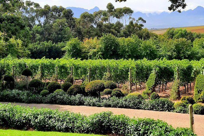 Full-Day Private Guided Wine Tasting Tour of Cape Wineries - Exploring the Itinerary in Detail