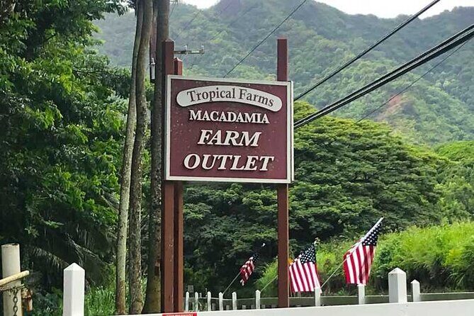 Full Day Private Hawaiian Culture Tour with Guide - Who Is This Tour Best For?