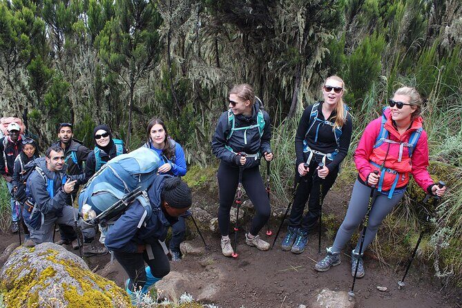 Full Day Private Hiking Tour to Kilimanjaro Mountain - Starting Point: Marange Gate