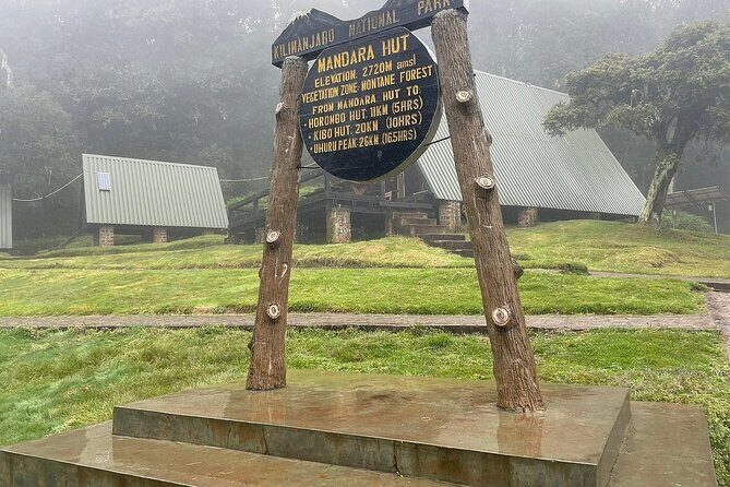 Full Day Private Hiking Tour to Kilimanjaro Mountain - The Descent and Return