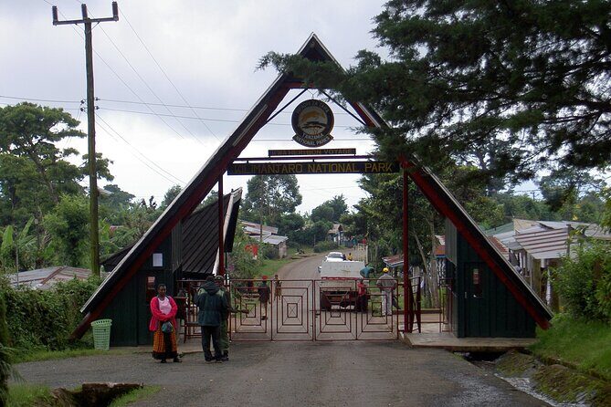 Full Day Private Hiking Tour to Kilimanjaro Mountain - What You Can Expect from the Trek