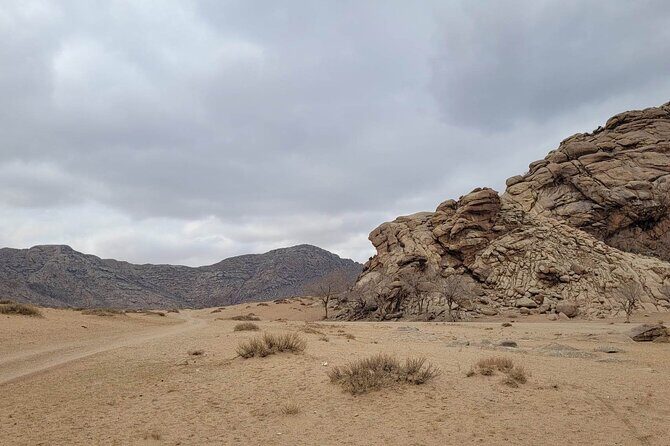 Full Day Private Jeep Tour to Elsen Tasarkhai, Semi-Gobi - FAQ
