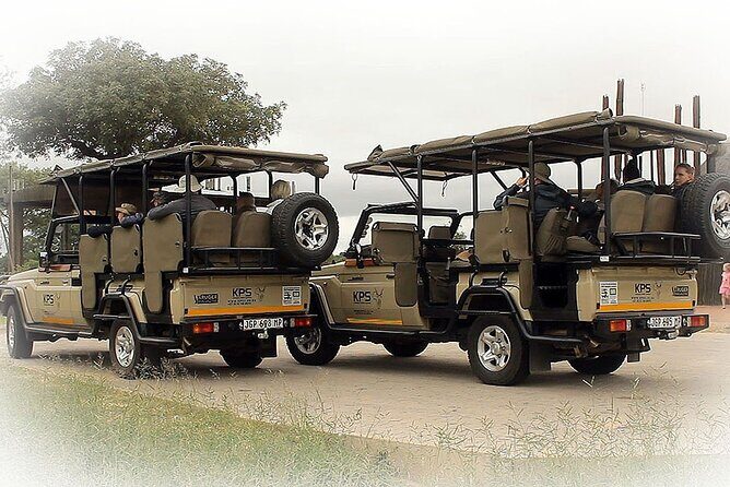 Full Day Private Kruger Park Safari - Key Points